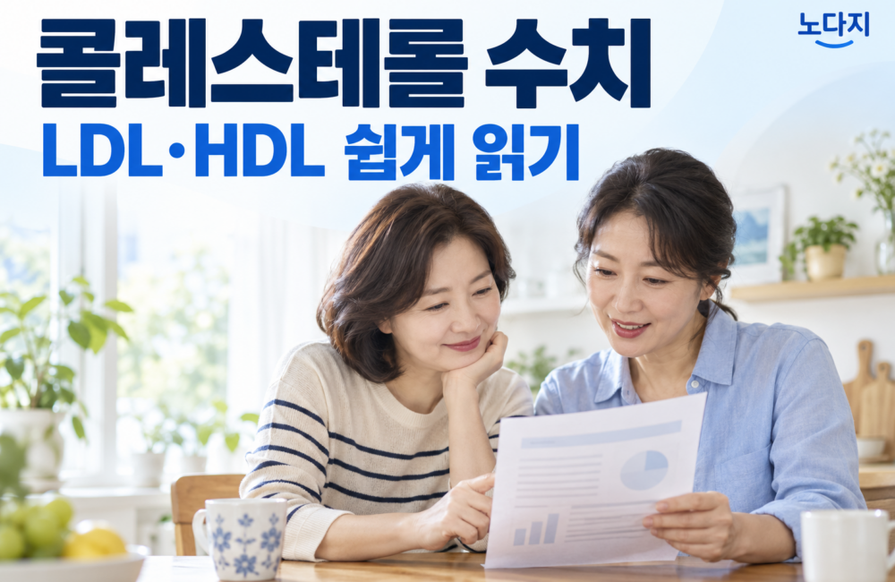 콜레스테롤 수치와 LDL·HDL 검사 결과 읽는 법을 안내하는 노다지 표지